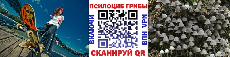 Галлюциногенные грибы Psilocybe  продажа наркотиков  Снежногорск 